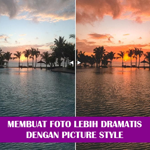 MENGENAL PICTURE STYLE / PICTURE CONTROL