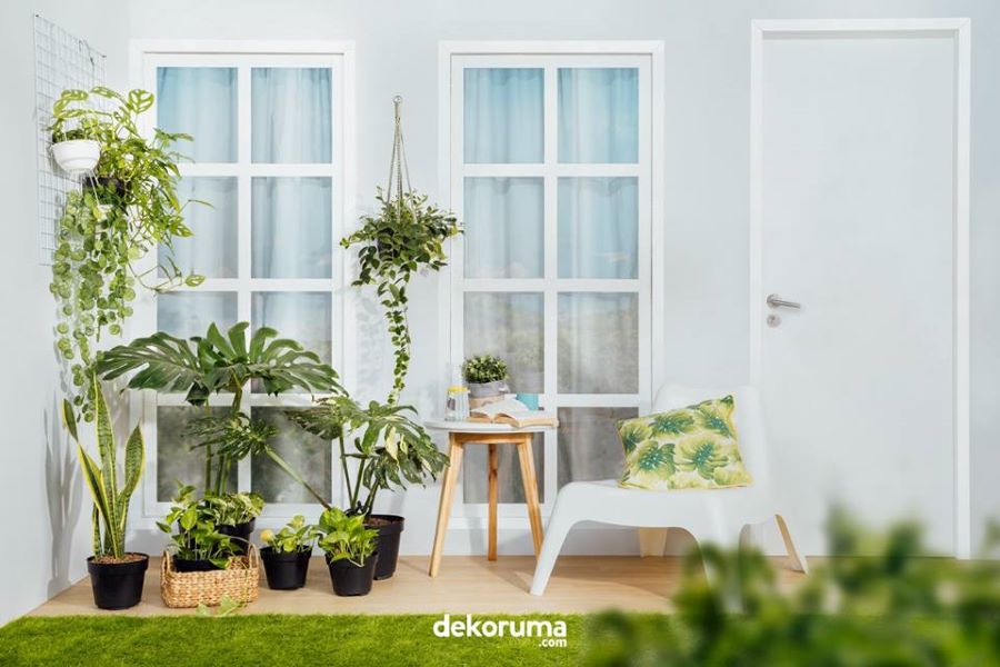 Cara Mudah Menata Taman Depan Rumah Sederhana