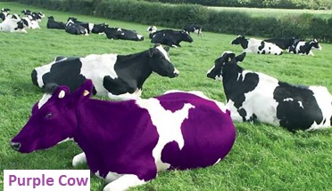 Inspirasi “Purple Cow”