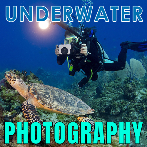 TIPS MEMULAI UNDERWATER FOTOGRAFI