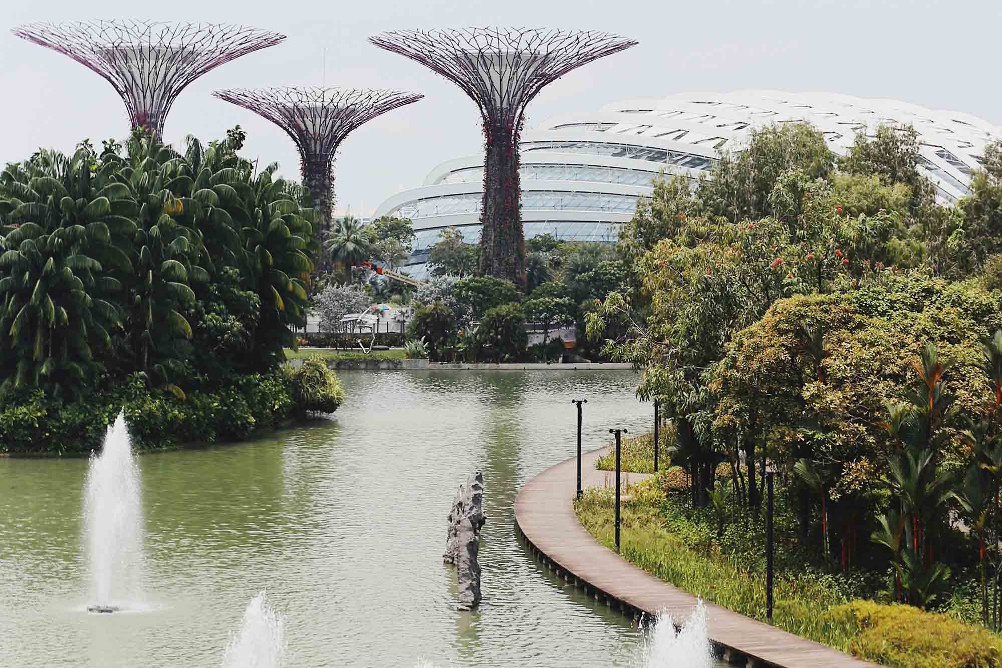 Sudah Kenal Arsitektur Lanskap? Ini Lho Detailnya