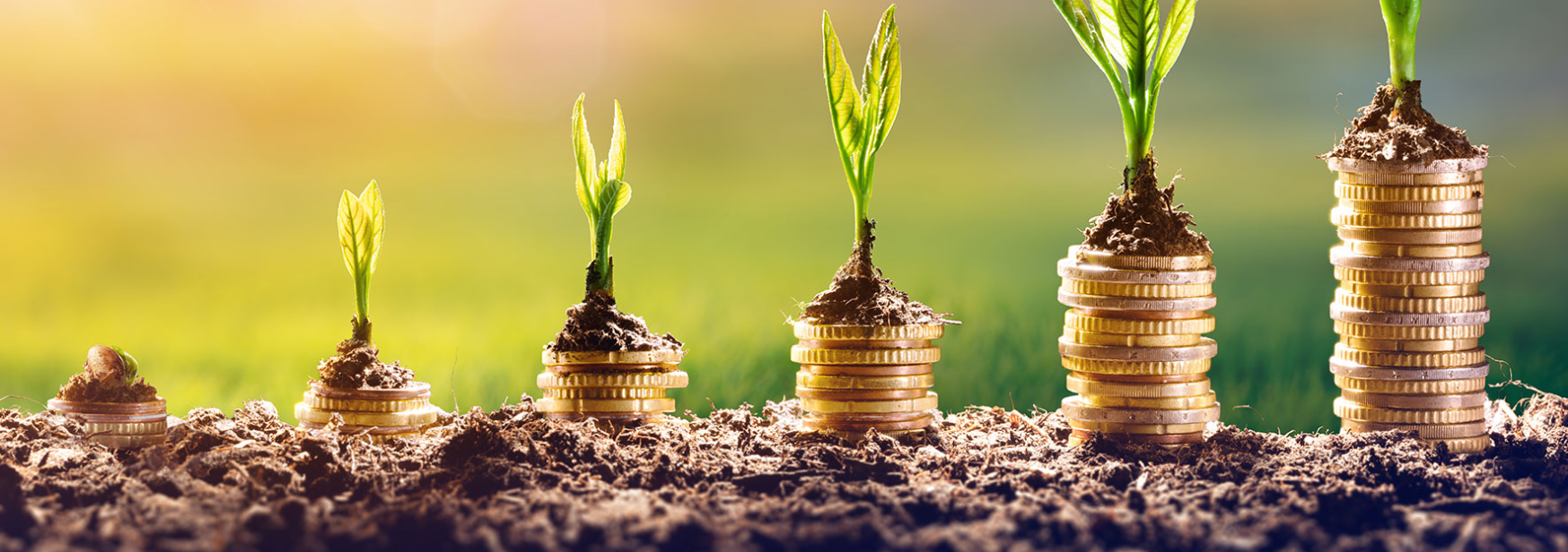 Bidang desain mana yang membutuhkan investasi untuk mencapai tujuan keberlanjutan 2030?