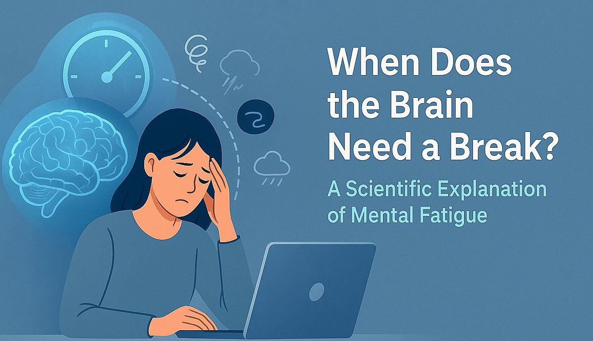 When Does the Brain Need a Break? A Scientific Explanation of Mental Fatigue