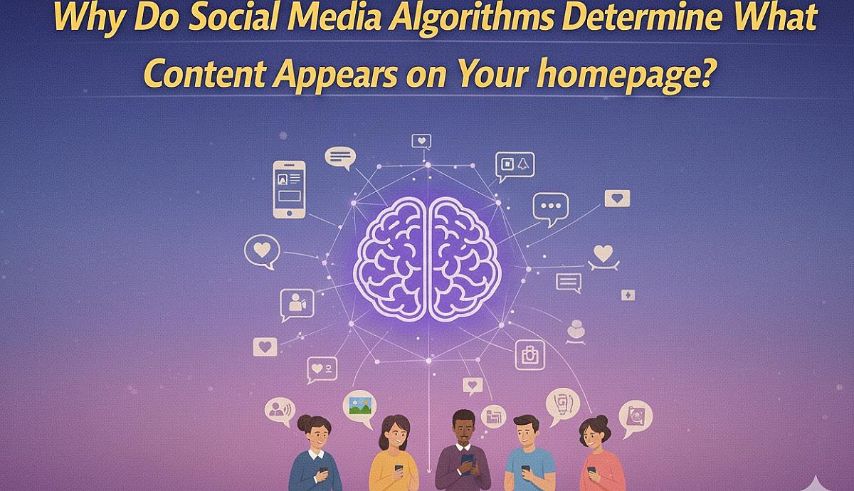 Why Do Social Media Algorithms Determine What Content Appears on Your Homepage?