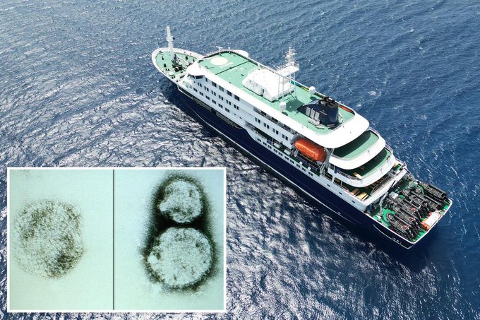 Wabah Hantavirus Picu Kekhawatiran Global, Kasus Kematian Muncul di Kapal Pesiar
