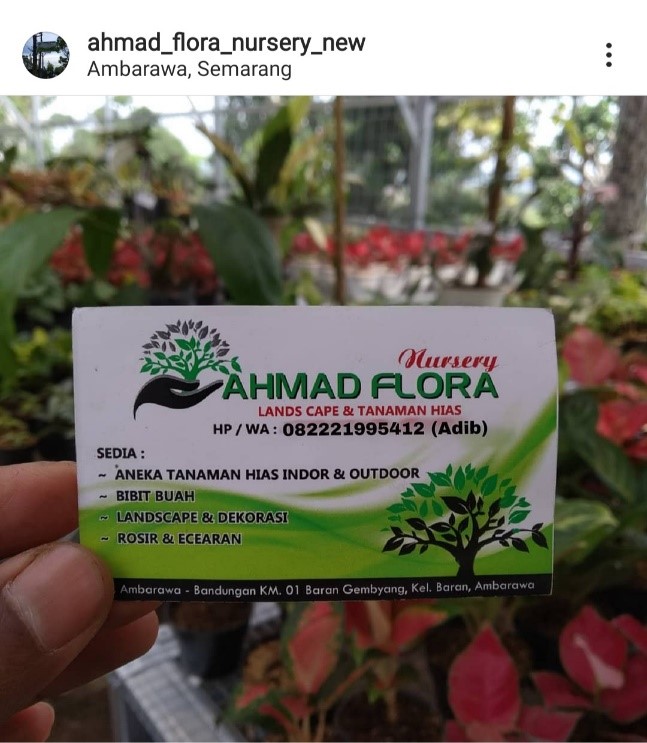 Mahasiswa Universitas Stekom Menjalani Magang Kerja Di Ahmad Flora Lands Cape & Tanaman Hias