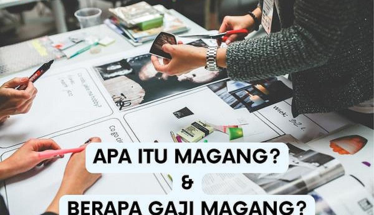 Apa Itu Magang? Berapa Gaji Magang?