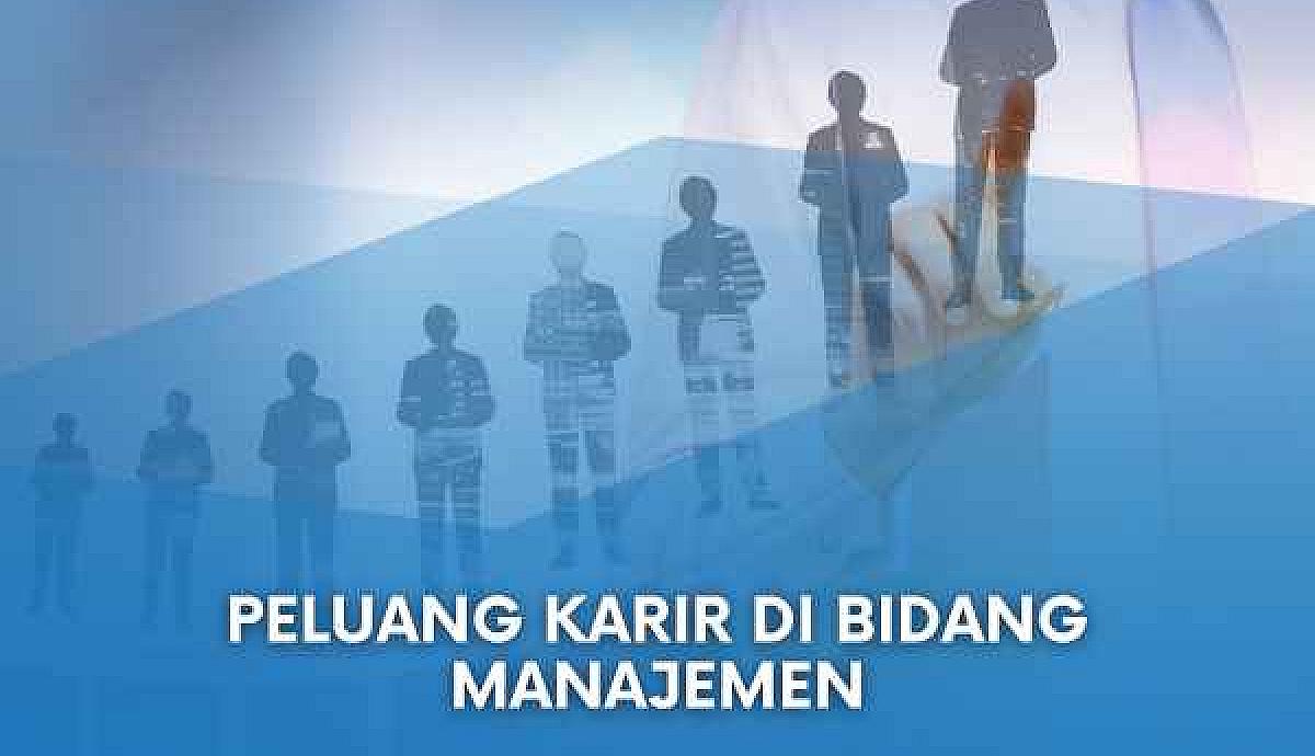 Peluang Karir di Bidang Manajemen
