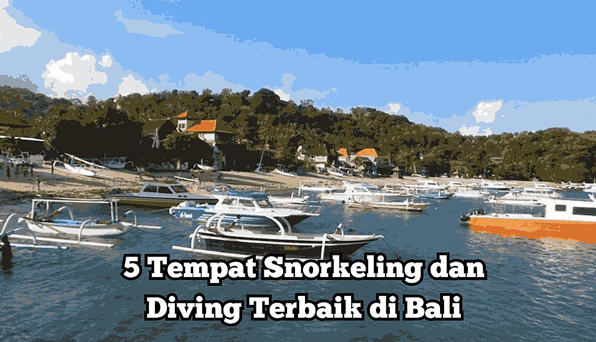 5 Tempat Snorkeling dan Diving Terbaik di Bali