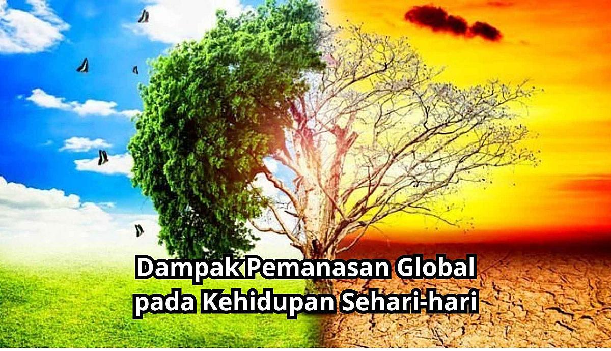  Dampak Pemanasan Global pada Kehidupan Sehari-hari