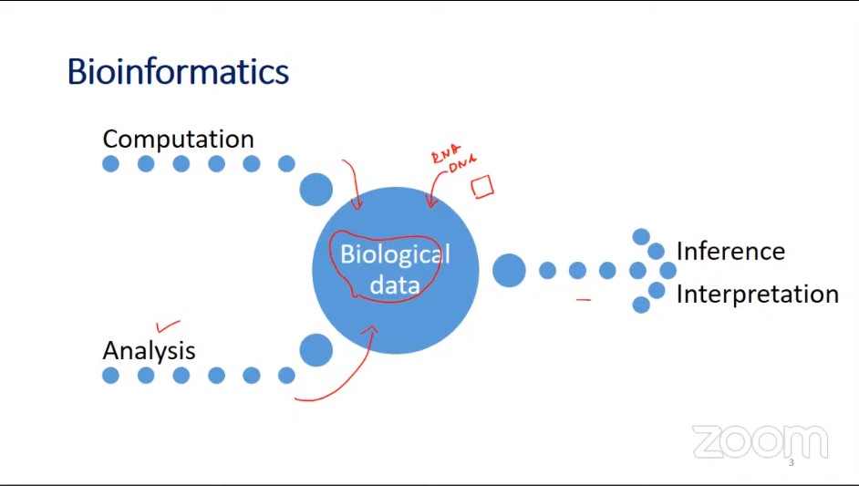 VISITING LECTURE ''Role of Machine Learning in Bio-Informatics''